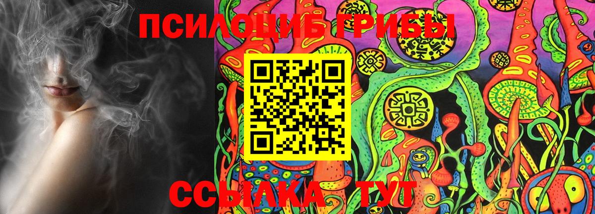 Псилоцибиновые грибы Psilocybine cubensis Красный Сулин